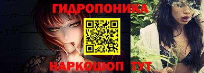 крисы Абакан