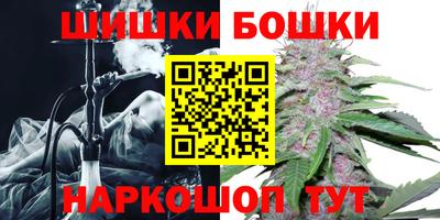 крисы Абакан
