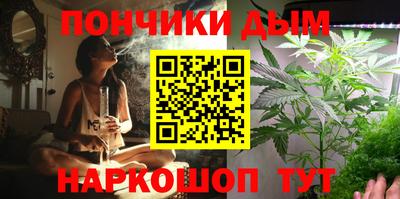крисы Абакан