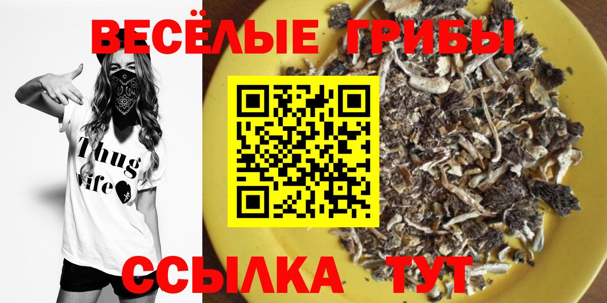 Галлюциногенные грибы MAGIC MUSHROOMS Амурск