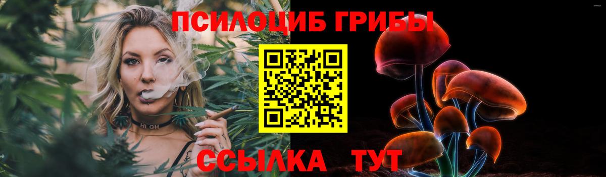 продажа наркотиков  Галлюциногенные грибы мицелий  Галлюциногенные грибы мухоморы  Вход с VPN  Амурск 