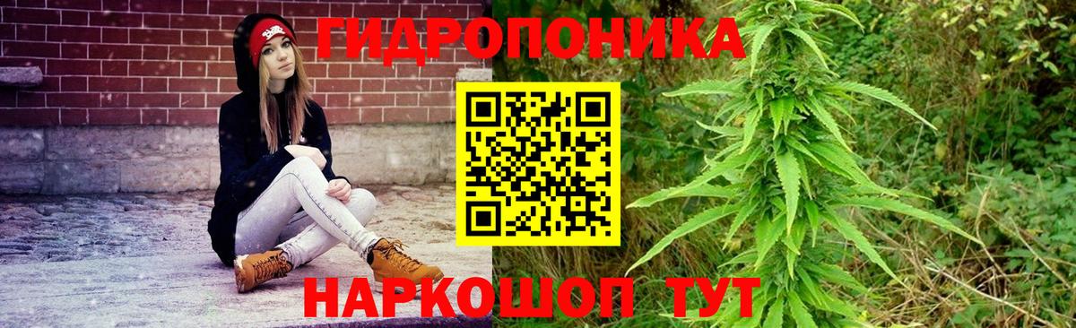 Бошки Шишки индика Амурск